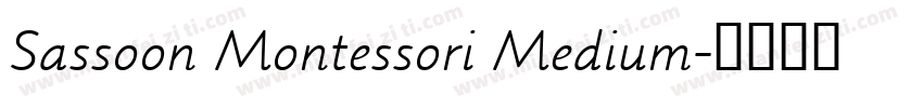 Sassoon Montessori Medium字体转换